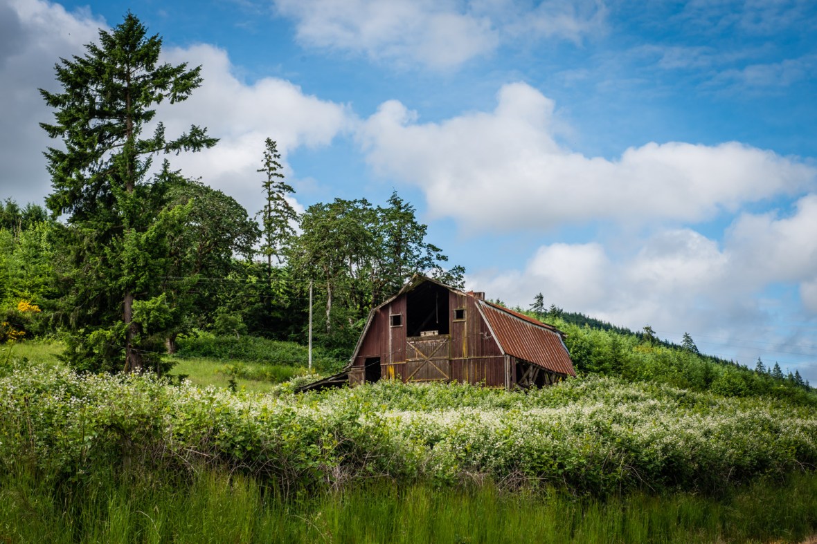 Abandonment Issues-4