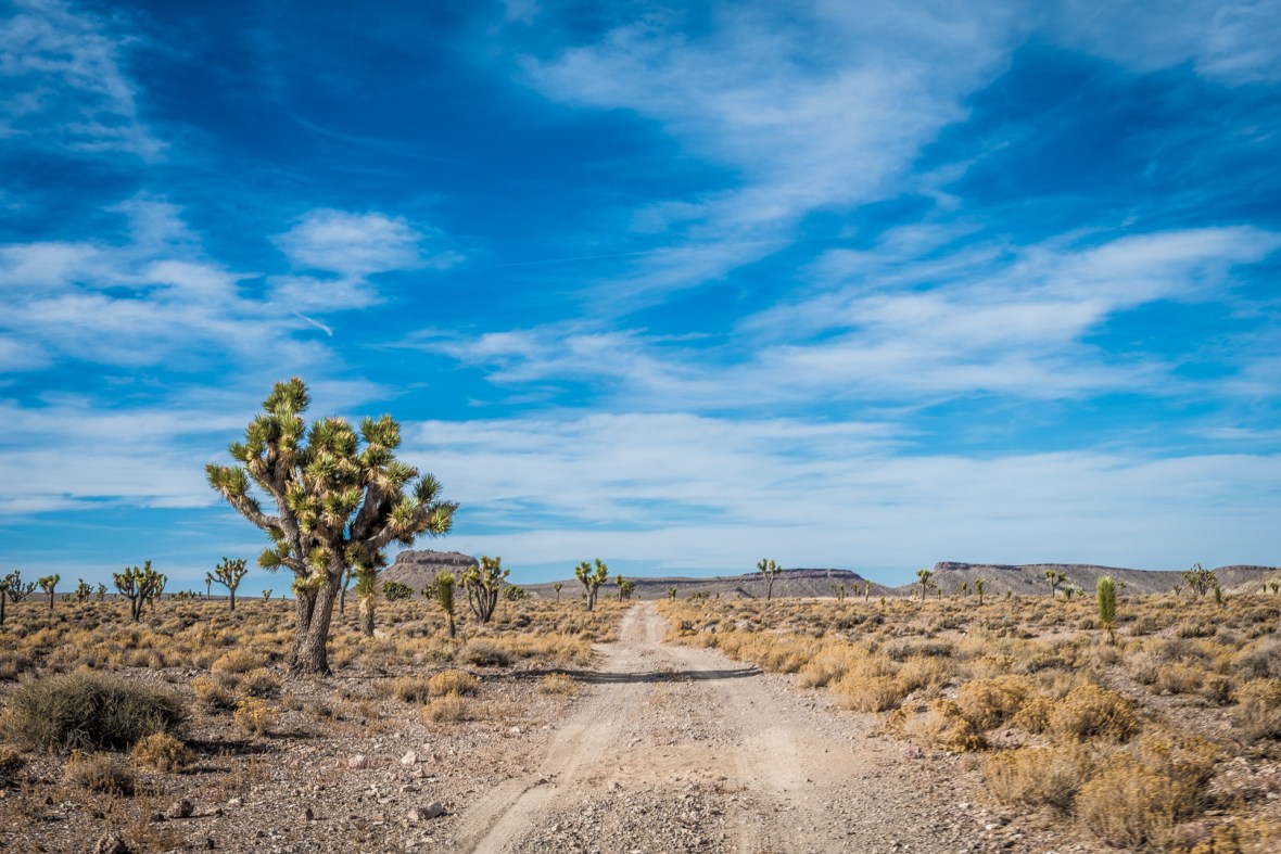 goldfield-nevada-150