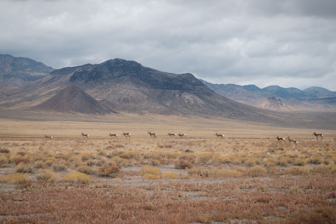 the-extraterrestrial-hwy-5