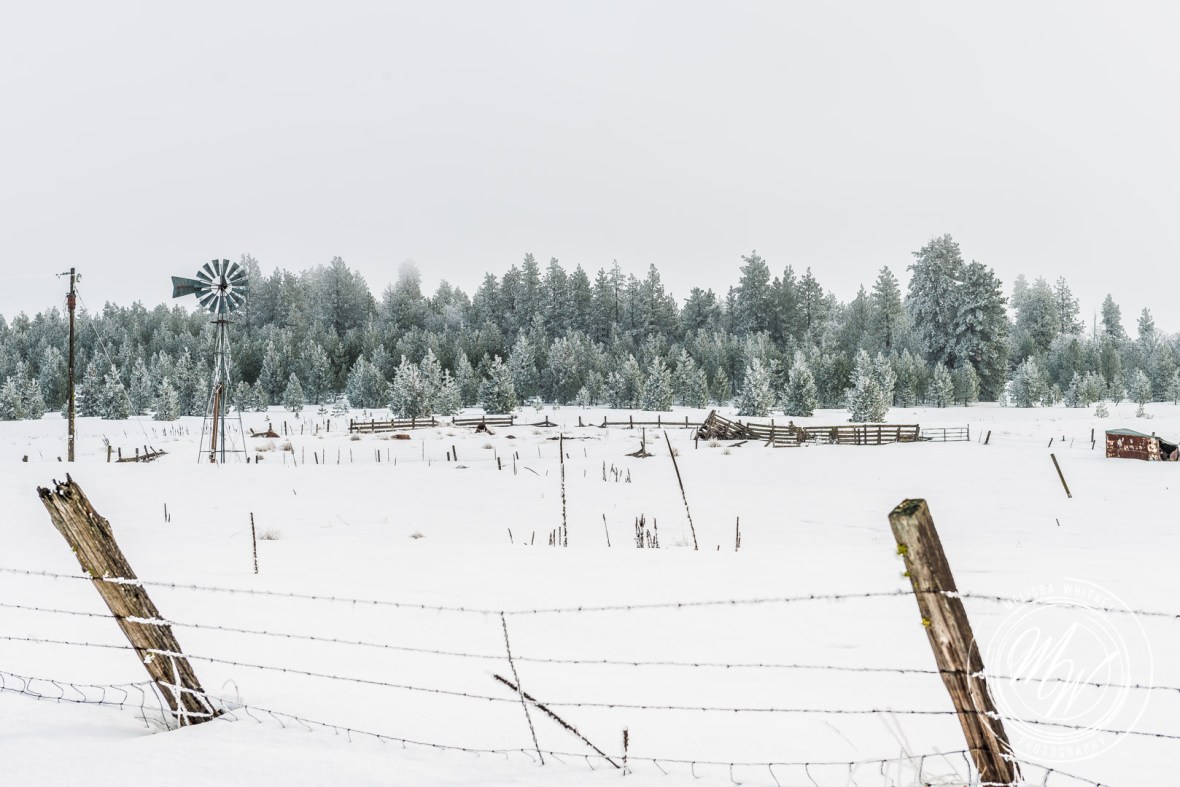 the-dalles-january-2017-9