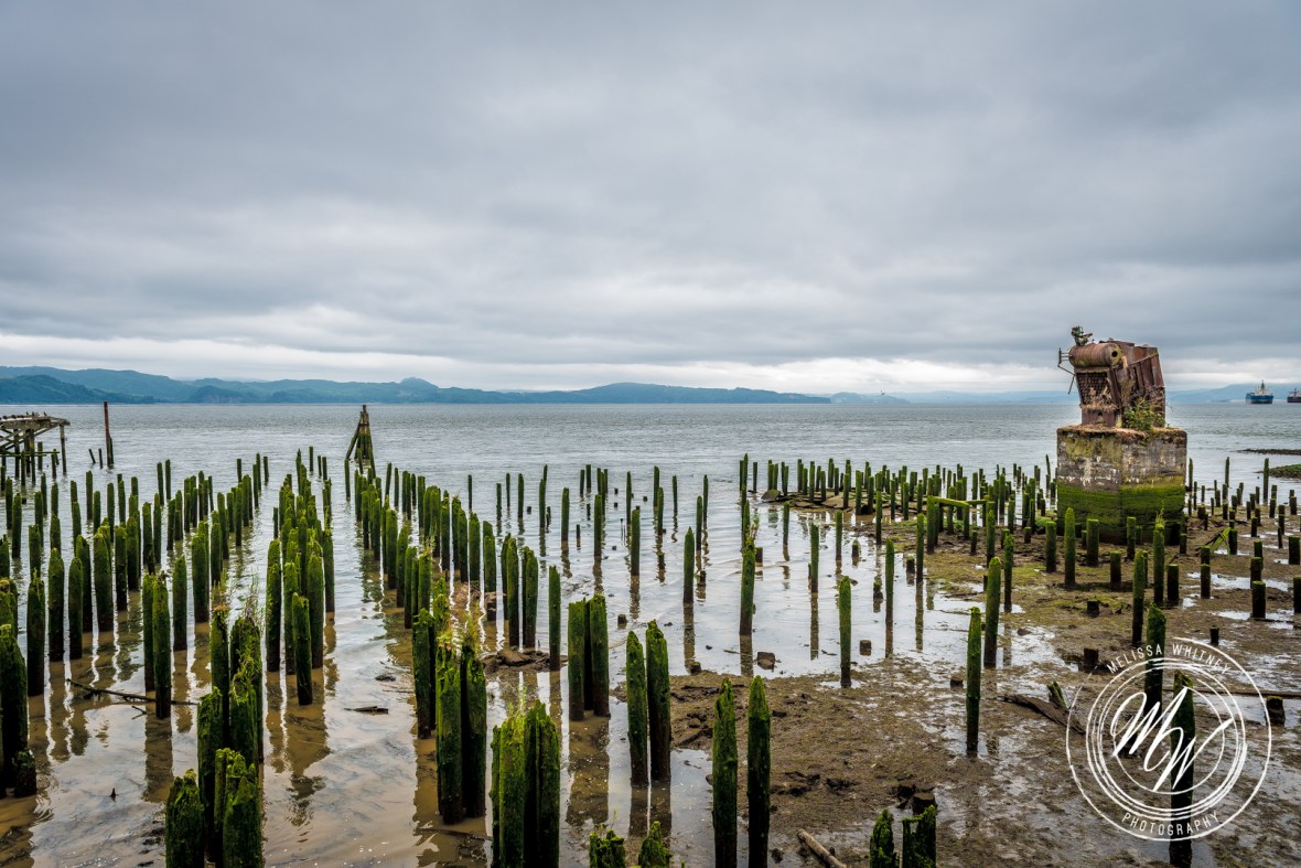 Abandoned Warrenton House-3