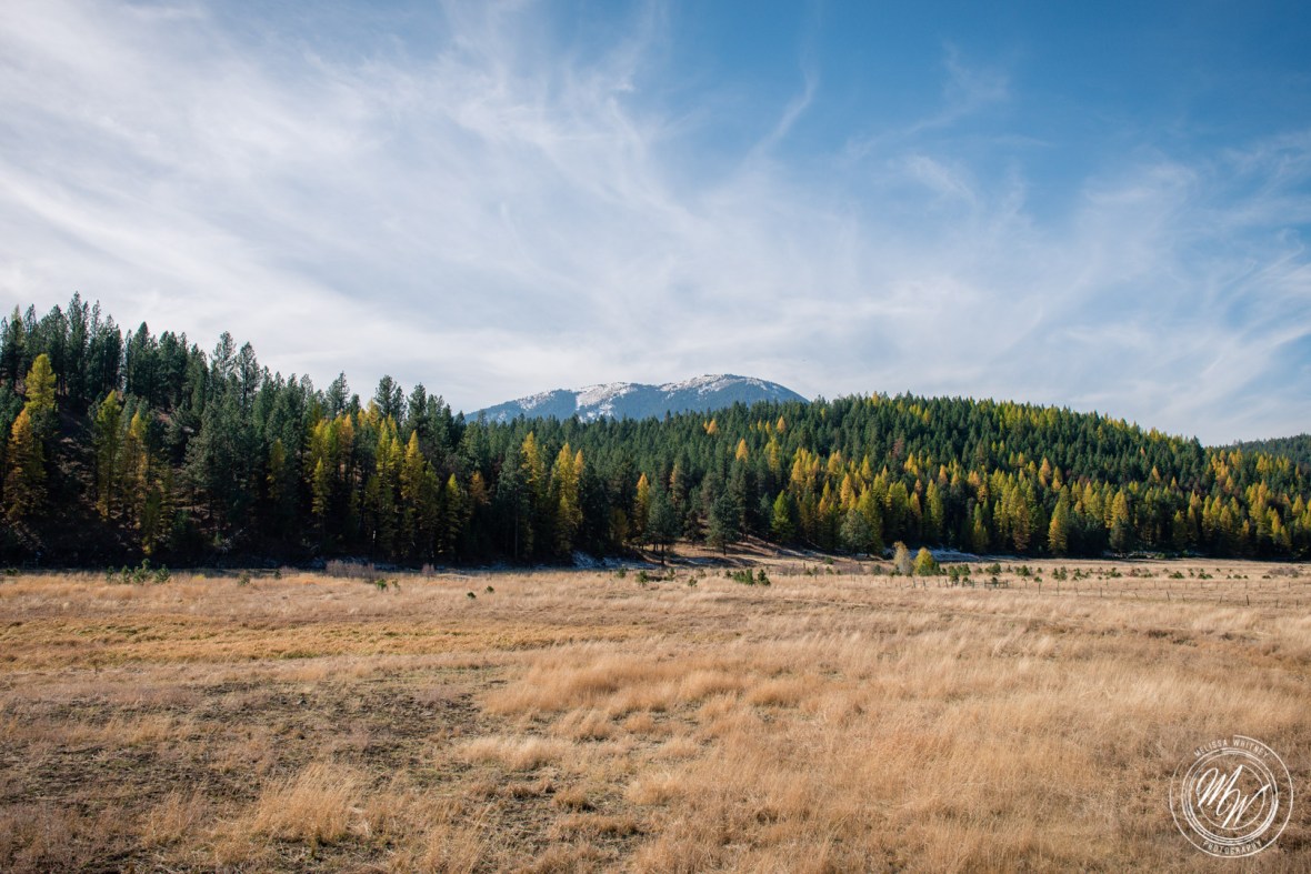 Brother and Sister Road Trip 2017 Day 2-25