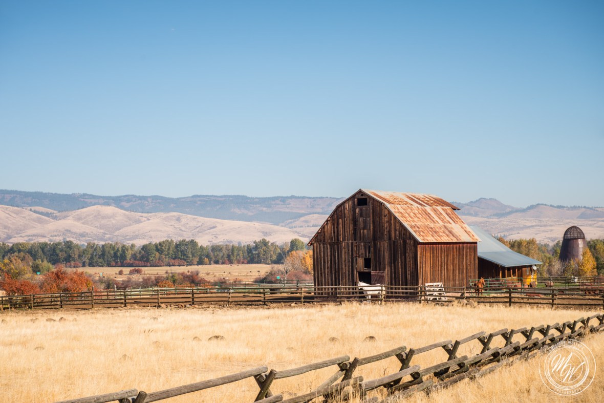 Brother-Sister Road Trip 2017 Day 3-5