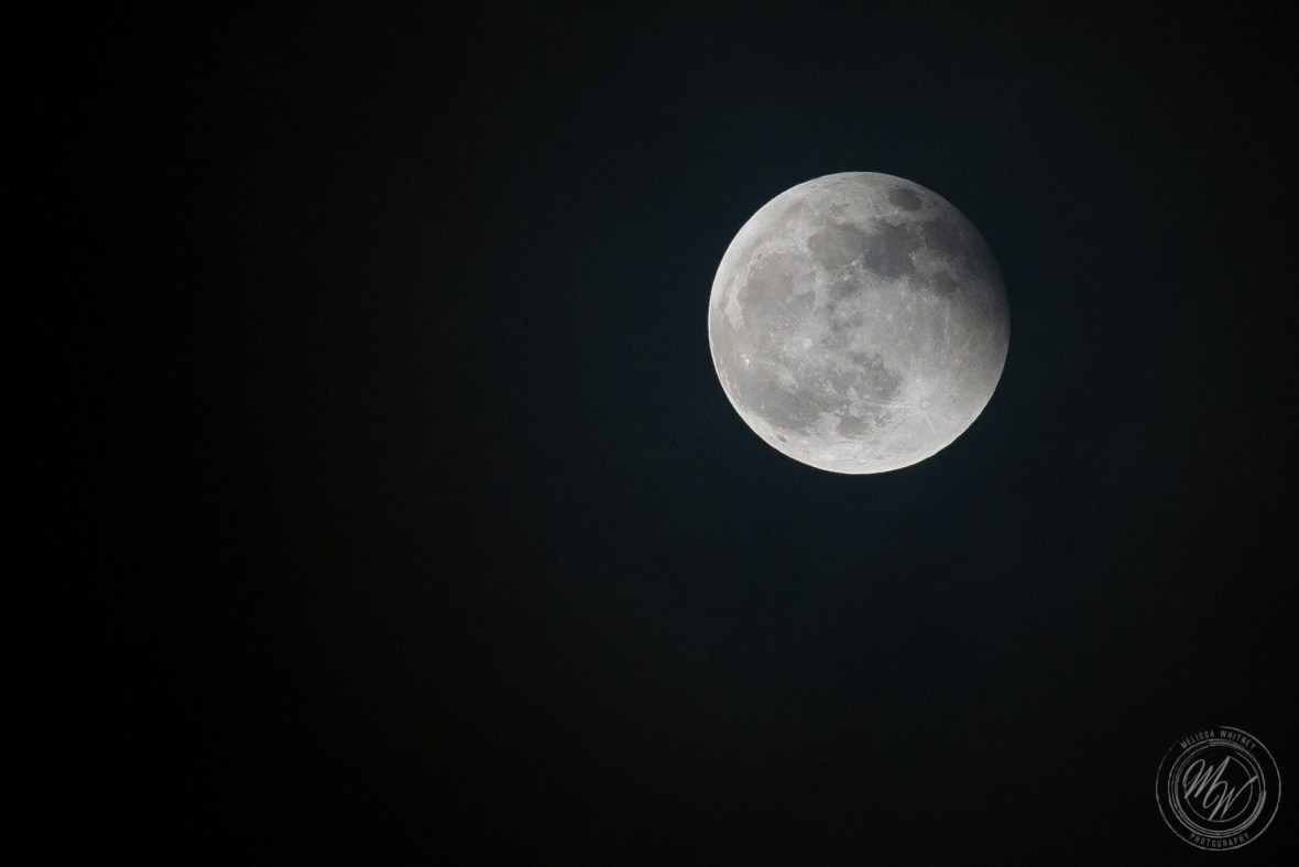 Super Blood Wolf Moon 1-20-2019-10