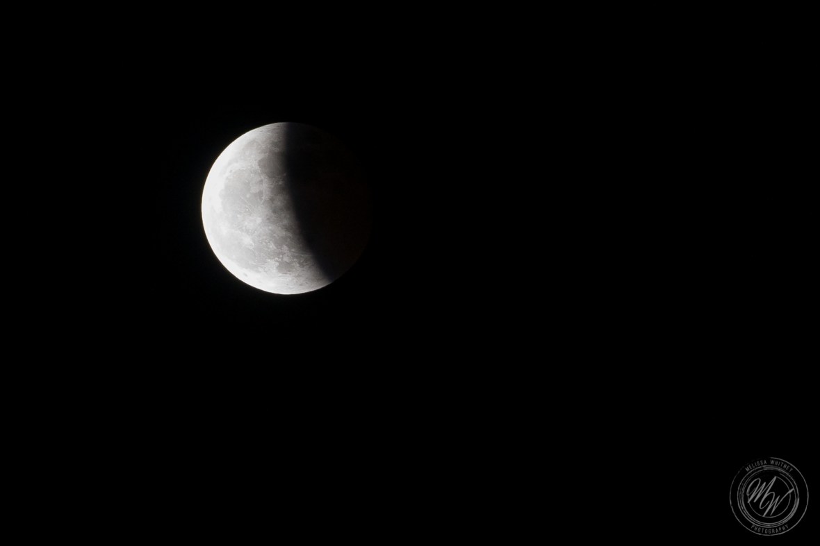 Super Blood Wolf Moon 1-20-2019-5