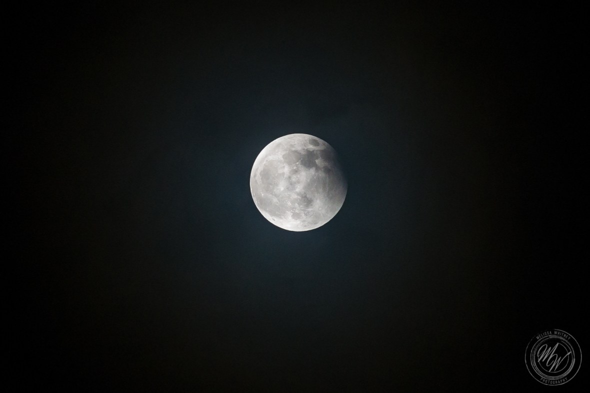 Super Blood Wolf Moon 1-20-2019-8