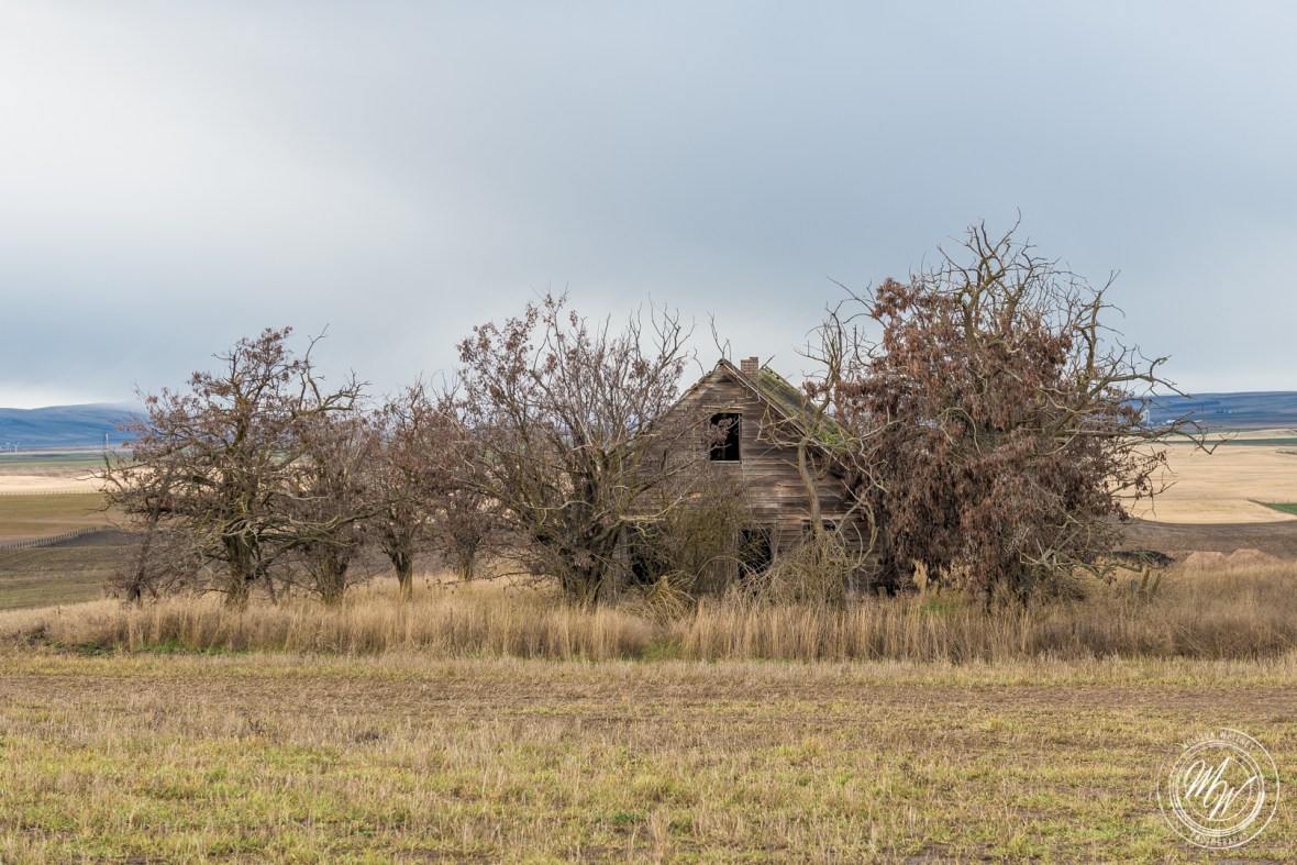 Trip to Ellensburg, WA-44