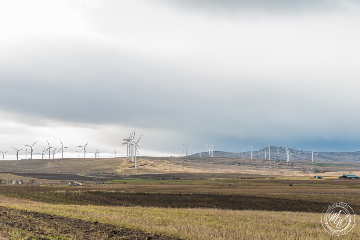 Trip to Ellensburg, WA-45